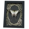 Eurytides Protesilaus Resting Butterfly Art Nouveau Zebra Swallowtail Framed Taxidermy