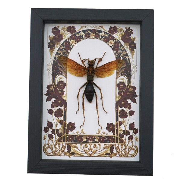 Tarantula Hawk Wasp Red Gothic Floral Hemipepsis Aureomicans Female Framed Taxidermy