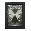 Luna Moth Gold Foil Gothic Ravens Real Framed Actias luna Taxidermy Display