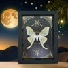 Real Luna Moth Celestial Gold Foil Moon Phases Actias luna Framed Taxidermy