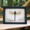 Giant Green Emperor Dragonfly Gold Foil Art Nouveau Anax gibbosulus Real Framed Taxidermy