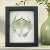 Real Framed Luna Moth Ferns Actias luna Resting Taxidermy Display