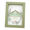 Real Framed Luna Moth Sage Green Ferns Mushrooms Actias luna Resting Taxidermy Display