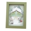 Real Framed Luna Moth Sage Green Ferns Actias luna Resting Taxidermy Display
