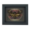 Real Gothic Death Head Moth Acherontia lachesis female Framed Taxidermy