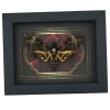 Real Gothic Death Head Moth Acherontia lachesis female Framed Taxidermy