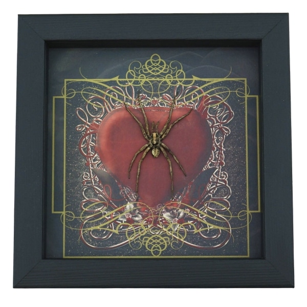 Real Framed Huntsman Spider Taxidermy Gothic Red Heart Heteropoda species