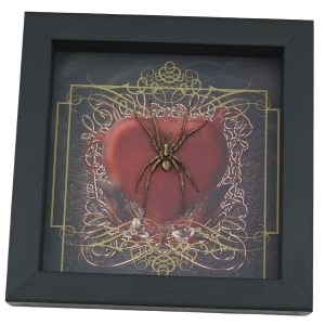 Real Framed Huntsman Spider Taxidermy Gothic Red Heart Heteropoda species