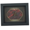 Real Framed Huntsman Spider Taxidermy Gothic Gold Red Border Heteropoda species