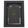 Real Framed Huntsman Spider Taxidermy Celestial Sun Moon Stars Heteropoda species