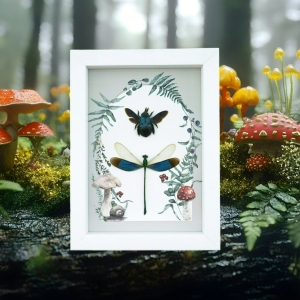 Real Framed Blue Bee Damselfly Set Forest Mushrooms Insect Taxidermy Display