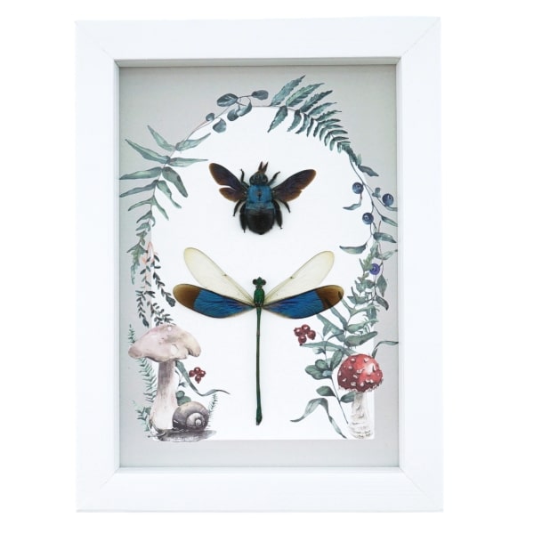 Real Framed Blue Bee Damselfly Set Forest Mushrooms Insect Taxidermy Display