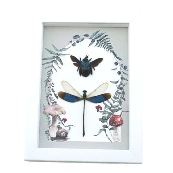 Real Framed Blue Bee Damselfly Set Forest Mushrooms Insect Taxidermy Display