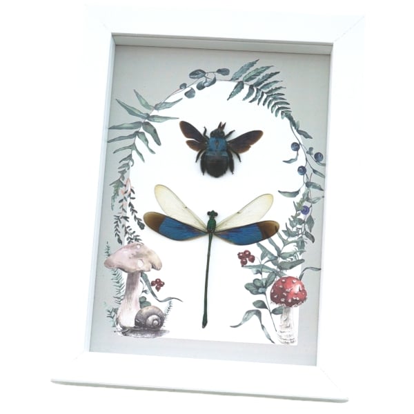 Real Framed Blue Bee Damselfly Set Forest Mushrooms Insect Taxidermy Display