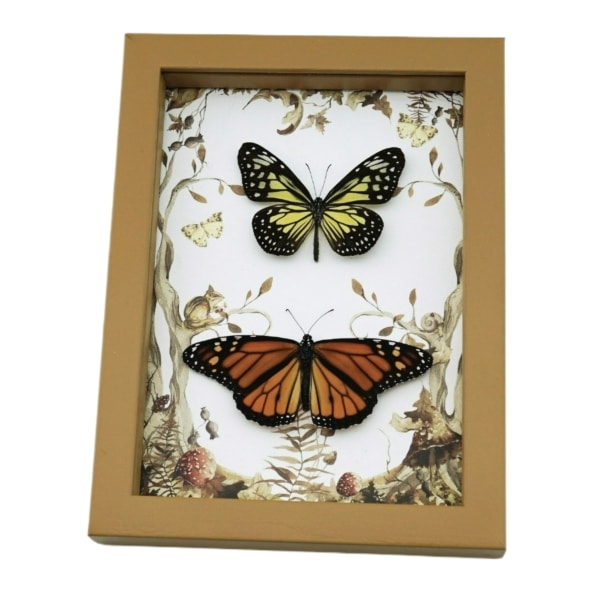 Real Framed Monarch Butterfly Set Forest Mushrooms Butterflies Taxidermy Display