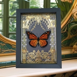 Monarch Butterfly Gold Foil Art Nouveau Garden Danaus Plexippus Male Framed Taxidermy