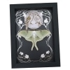Real Framed Luna Moth Silver Foil Owls Moon Art Nouveau Actias luna Resting Taxidermy