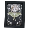 Real Framed Luna Moth Silver Foil Owls Moon Art Nouveau Actias luna Resting Taxidermy