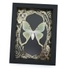 Real Luna Moth Framed Taxidermy Gold Foil Art Nouveau Actias luna
