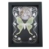 Real Framed Luna Moth Silver Foil Owls Moon Art Nouveau Actias luna Taxidermy Display