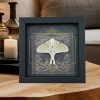 Real Framed Luna Moth Gothic Black Heart Actias luna Resting Taxidermy Display