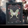 Framed Luna Moth Gothic Black Roses Actias luna Framed Taxidermy Display