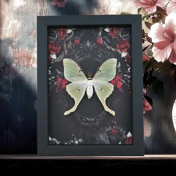 Framed Luna Moth Gothic Black Roses Actias luna Framed Taxidermy Display