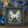 Real Luna Moth Framed Gothic Ravens Actias luna Taxidermy Display