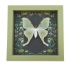 Framed Luna Moth Gothic Ravens Actias luna Taxidermy Sage Green Display