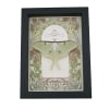 Luna Moth Art Nouveau Actias luna Female Resting Real Framed Taxidermy Display