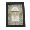 Luna Moth Art Nouveau Actias luna Female Resting Real Framed Taxidermy Display