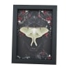Framed Luna Moth Gothic Black Roses Actias luna Resting Framed Taxidermy