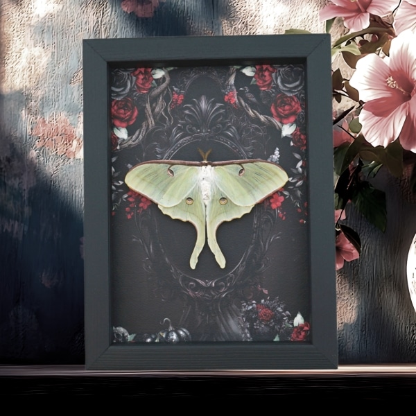 Framed Luna Moth Gothic Black Roses Actias luna Resting Framed Taxidermy