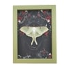 Framed Luna Moth Gothic Black Roses Actias luna Resting Framed Taxidermy Sage Green