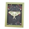 Framed Luna Moth Gothic Black Roses Actias luna Resting Framed Taxidermy Sage Green
