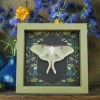 Framed Luna Moth Gothic Ravens Actias luna Resting Taxidermy Sage Green
