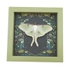 Framed Luna Moth Gothic Ravens Actias luna Resting Taxidermy Sage Green