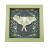 Framed Luna Moth Gothic Ravens Actias luna Resting Taxidermy Sage Green