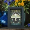 Real Luna Moth Gothic Ravens Actias luna Female Resting Framed Taxidermy Display