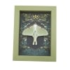Real Luna Moth Gothic Ravens Actias luna Resting Framed Taxidermy Sage Green Display