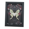 Framed Luna Moth Gothic Black Roses Actias luna Framed Taxidermy Display