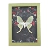 Framed Luna Moth Gothic Black Roses Actias luna Framed Taxidermy Sage Green