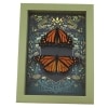 Framed Monarch Butterflies Gothic Ravens Danaus Plexippus Butterfly Set Taxidermy Sage Green Display