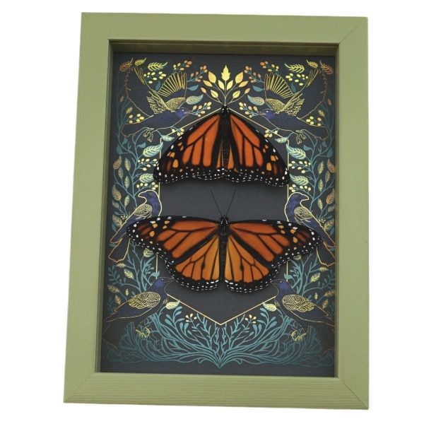 Framed Monarch Butterflies Gothic Ravens Danaus Plexippus Butterfly Set Taxidermy Sage Green Display
