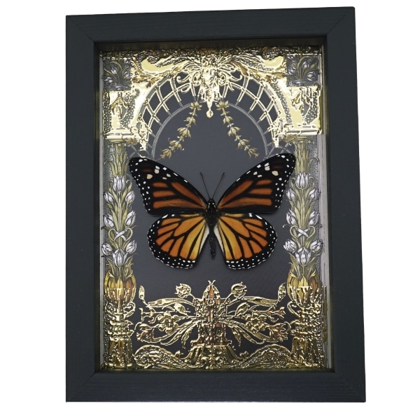 Monarch Butterfly Gold Foil Art Nouveau Garden Danaus Plexippus Female Framed Taxidermy