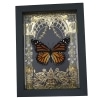 Monarch Butterfly Gold Foil Art Nouveau Garden Danaus Plexippus Female Framed Taxidermy
