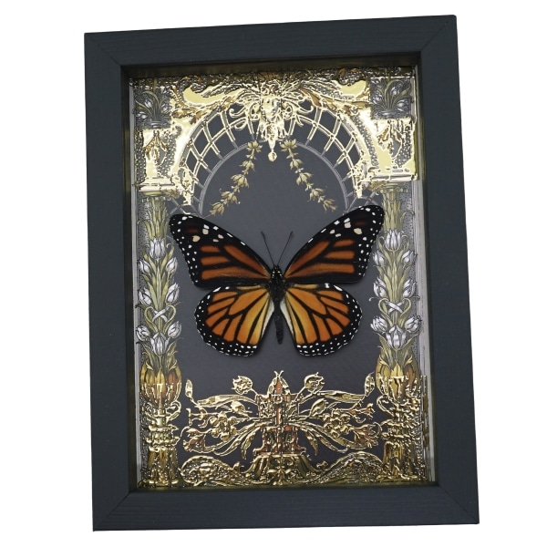 Monarch Butterfly Gold Foil Art Nouveau Garden Danaus Plexippus Female Framed Taxidermy