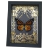 Monarch Butterfly Gold Foil Art Nouveau Garden Danaus Plexippus Female Framed Taxidermy