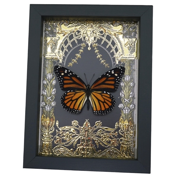 Monarch Butterfly Gold Foil Art Nouveau Garden Danaus Plexippus Female Framed Taxidermy