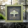 Real Framed Luna Moth Gothic Black Heart Actias luna Resting Taxidermy Sage Green Display